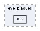 /home/runner/work/egs_brachy/egs_brachy/egs_brachy/lib/geometry/eye_plaques/Iris